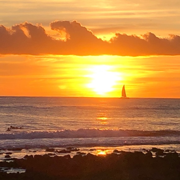 Meet your Posher, Julianna - Picture 1 of 1